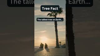 tree facts [upl. by Mitran54]