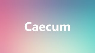 Caecum  Medical Meaning and Pronunciation [upl. by Ruthy]