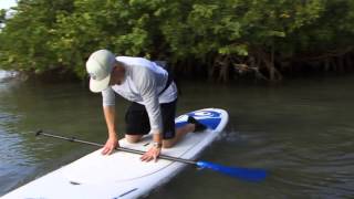 Stand Up Paddling  Getting Started [upl. by Yniatirb856]