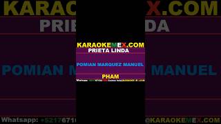 karaoke julio chaidez  prieta linda karaokemex [upl. by Nakeber]