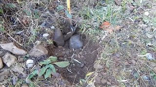 S2E15 Washington State Gold Mining  Small Creek Prospecting on Waddell Creek wth Pete [upl. by Voccola]