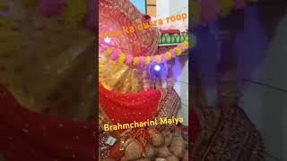 Jay Ambe brahmcharini Mata bhaktisong Aaye maiya ke Navratri O 🐷🐷🐷हम sab jhumenge [upl. by Raama55]