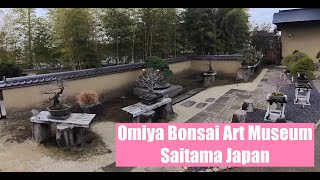 Omiya Bonsai Art Museum Saitama Tokyo Japan [upl. by Ahsin377]