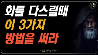 주체하지 못할 정도의 화가 났을때 화날때 마음 다스리는법뼈때리는 인생조언 [upl. by Vashti]