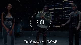 Tee Grizzley  IDGAF [upl. by Llen713]