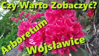 Czy warto zobaczyć Arboretum Wojsławice Rododendrony i Azalie na pierwszym planie w połowie maja [upl. by Neerbas]