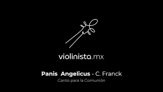 violinistamx  Panis Angelicus Tradicional en Catedral [upl. by Wobniar930]