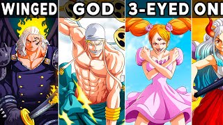 Every Race In One Piece Explained [upl. by Ekihc]