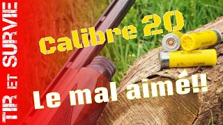 03  Tout sur le calibre 20 [upl. by Chon]