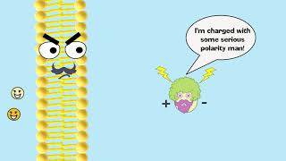 Facilitated Diffusion Explained [upl. by Sumedocin]