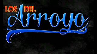 Los Consejos  Los Del Arroyo En Vivo Con Tuba 2014 [upl. by Enilrac]