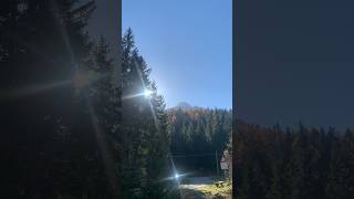 Novembre caldissimo in montagna il teatro cane 🐕 entra nel torrene a 1700 m [upl. by Ynavoj]