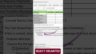 EXCEL Master Reveals Top Text to Columns Techniques [upl. by Aihsenrad]