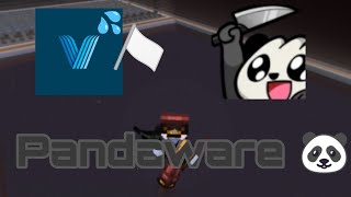 200 AntiCheat got owned by a Completely Free Client  Pandaware 10 [upl. by Gerson]