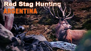 Red Stag Hunting in Argentina Chasse du Cerf en Argentine  2022 [upl. by Abraham]