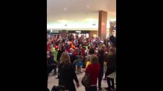 Flash Mob at Opry Mills [upl. by Lynnell]