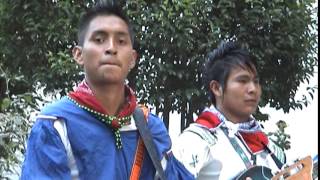 VIENTO HUICHOL 2015 NUEVO [upl. by Pollyanna]