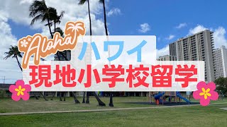 【ハワイ】現地小学校留学 [upl. by Eatnwahs]