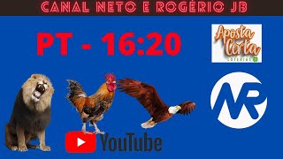 RESULTADO AO VIVO ROGERIO E NETO JB  PTV  19112024 [upl. by Cattier]