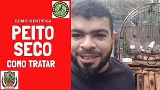 BIGODINHO COM PEITO SECO  Como identificar e tratar [upl. by Astred]