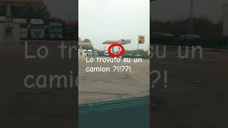 TROVO LUPINO SCRITTO SU UN CAMION [upl. by Eadrahc]