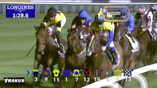 Race 8  Dubai Sheema Classic Presented By Longines [upl. by Ivek]