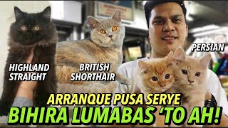 MGA BAGONG ALOK NG ARRANQUE PET MARKET BAGSAK PRESYO  PUSA SERYE  APRIL 18 2024 [upl. by Philis]