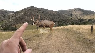 2021 Colorado Mule Deer With A Muzzle Loader  Day 1  MIKE HUNTS [upl. by Eilitan470]