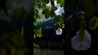 Minnalgal Koothadum Mazhai Kaalam🌧️☔🦋 [upl. by Courcy]