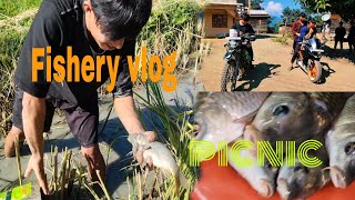 visiting fishery pond 🐠🐟 Fishery vlog fishingvideo viralvideo ordinaryvillageboy [upl. by Anekahs994]