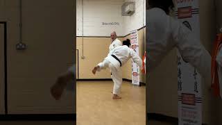 Ushiro geri  back kick technique [upl. by Kleon]