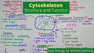 Cytoskeleton Structure and Function  Role in Motility [upl. by Shriver449]