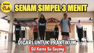 🔴 Senam Aerobik Simpel 3 Menit RJJ Dj Remix Karna Su Sayang [upl. by Anicart]