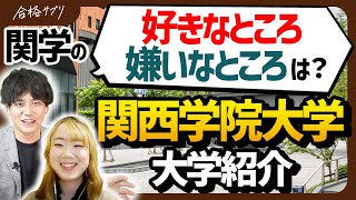 【関西学院大学】一般入学者は肩身が狭い？関学の大学生活を徹底紹介 [upl. by Calise854]