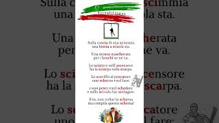 Итальянские скороговорки для отработки навыков чтения shortscioglilinguaSulla coscia di una scimmia [upl. by Yonita464]