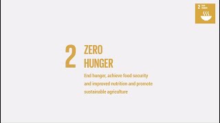 Zero Hunger in the Arab region [upl. by Apollo]