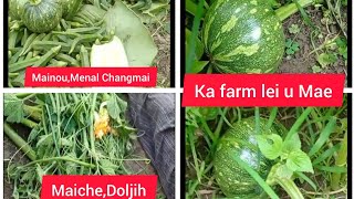 My Farm mainouChangmaiMenal Bal Malcha ka lou soh ga u ana ve ute [upl. by Atiker130]