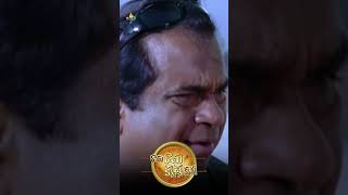 Brahmanandams Son Comedy  RamaRamaKrishnaKrishna  shorts  youtubeshorts  SriBalajiVideo [upl. by Modie]