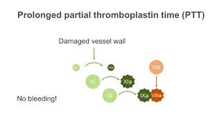 How to interpret a partial thromboplastin time PTT test [upl. by Intruok]