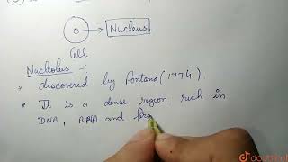 What is nucleolus Explain its function  CLASS 9  CELL  FUNDAMENTAL UNIT OF LIFE  BIOLOGY [upl. by Ban]