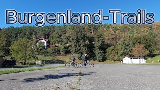 BurgenlandTrails  DJI Neo MTB test [upl. by Thad]