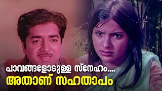 പാവങ്ങളോടുള്ള സ്നേഹംഅതാണ് സഹതാപം  Panitheeratha Veedu  Prem Nazeer Movie [upl. by Annadal]