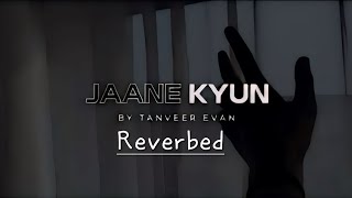 Jane kyun  lyrics  Tanveer Evan  TanveerEvan  Lyrics video [upl. by Farrel750]