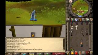 RuneScape Oldschool 99 Fishing  Cape amp Emote OSRS [upl. by Hajin898]