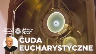 Cuda Eucharystyczne w historii O co prosi Jezus  KS DR ZIOMBRA [upl. by Ecinom]