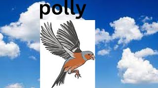 Polly [upl. by Aicenav]