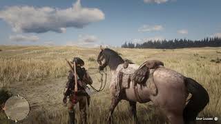 Red Dead Redemption 2 Online  Dappled Buckskin Horse  Norfolk Roadster  Part 2 [upl. by Ginny556]