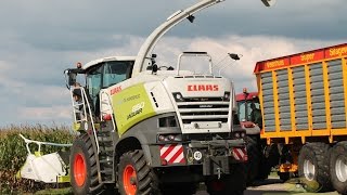 Weco De Hondsrug hakseld de eerste mais van 2014 met de nieuwe Claas Jaguar 850 [upl. by Yarrum]