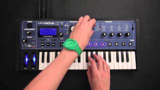 Novation  Dorian Concept x MiniNova [upl. by Greeson]