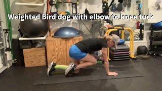 Weighted Bird dog with elbow to knee tuck [upl. by Cohligan]